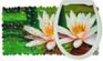 Комплект FOVERO SPA ЛОТОС( коврик ВК 70*36см+сиденье д/у 37*45см) ко3480, шт