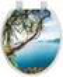 Сидение д/ун мягкое "ОКЕАН" с/рис бел. ДЕРЕВО У МОРЯ 103-311-01-В25 с01-в25 с01-в25, шт