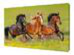 Картина на холсте 38*48см р1217, шт