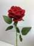 Одиночная роза бархатнаяВысота: 66.0 см