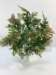 Букет зелени, пластик, 5 вВысота: 38.0 см