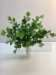 Букет эвкалипта, пластик, 5 вВысота: 35.0 см