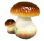 Фигура садовая "Боровик двойной большой" (460*440мм) 442, шт