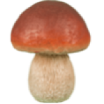 Фигура Боровик красный маленький,13х11 см