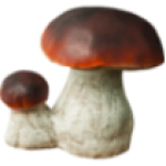 Фигура Два боровика средние,20х22 см