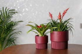 Бостон цилиндр VipSet 1,6 л бордо Горшок с дренажной системой