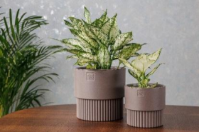 Бостон цилиндр VipSet 1,6 л шоколад Горшок с дренажной системой