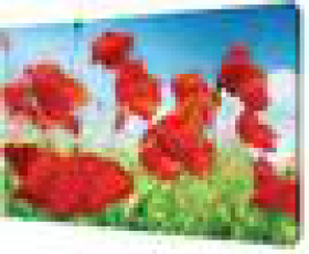 Картина на холсте 38*48см   Р92, шт
