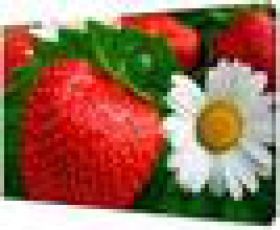 Картина на холсте 38*48см Р1025, шт
