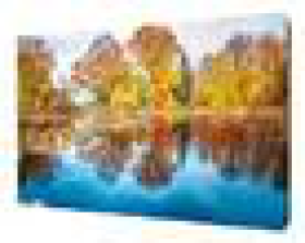 Картина на холсте 38*48см р1438, шт