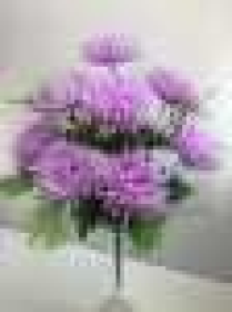 Букет астр, 9 г