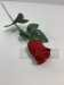 Одиночная роза бутон бархатнаяВысота: 52.0 см