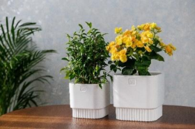 Бостон квадрат VipSet 5,5 л белый Горшок с дренажной системой