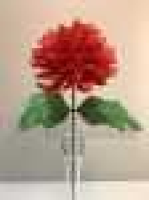 Одиночная хризантемаВысота: 50.0 см