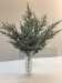 Букет зелени с напылением, пластик, 5 вВысота: 36.0 см