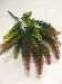 Букет колосьев, пластик, 5 вВысота: 38.0 см