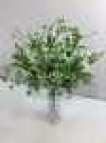 Букет с белыми цветами, пластик, 5 вВысота: 34.0 см