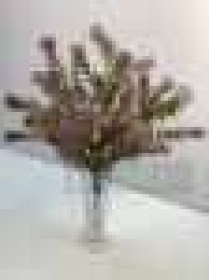 Букет с шишками, пластик, 6 вВысота: 35.0 см