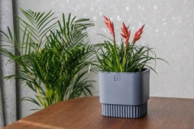 Бостон квадрат VipSet 2,7 л антрацит Горшок с дренажной системой