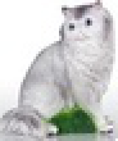 Копилка "Кошка на траве" ( 300*270мм) 220, шт