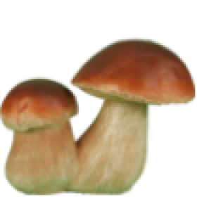 Фигура Белые грибы пара,14х12 см