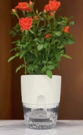 Аквадуэт D15.5, 2.6л белый с поддоном