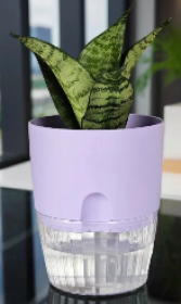 Аквадуэт D15.5, 2.6л лаванда с поддоном