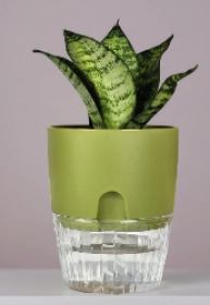 Аквадуэт D15.5, 2.6л папоротник с поддоном