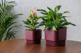 Бостон квадрат VipSet 2,7 л бордо Горшок с дренажной системой