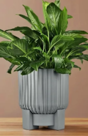 Торин D20.5 , 5.2л серый-муссон