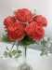 Букет пионов, 5 вВысота: 31.0 см