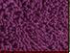 Коврик для в/к "Макароны", 60*90 Violet Фиолетовый , шт