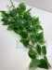Ампельный куст зелениВысота: 83.0 смАмпельный куст зелениВысота: 83.0 см