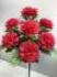Букет гвоздик, 7 гВысота: 52.0 см