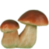 Фигура Белые грибы пара,14х12 см