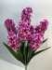 Букет гиацинтов, 7 вВысота: 67.0 см