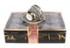 Наб. чайный 12пр. WR-3100 (костян.фарфор, 6ч/260мл+6бл/15,2см) 1/6, шт